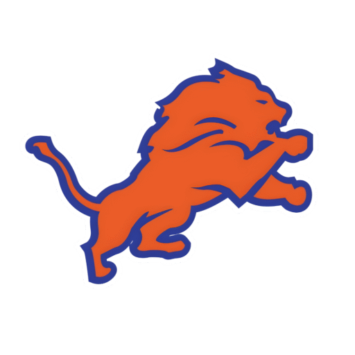 NYC LIONS BASEBALL ORG